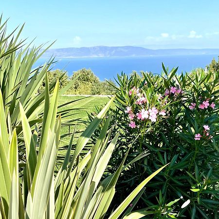 Luxury Panorama Vila With Amazing Seaview In Gondolici 7 Km From Rabac Labin  Exterior photo